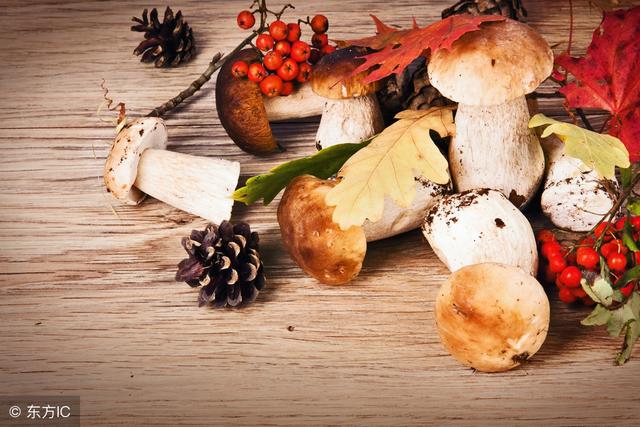 金針菇自然界“不存在的”新物種，哪些人不宜吃得太多？